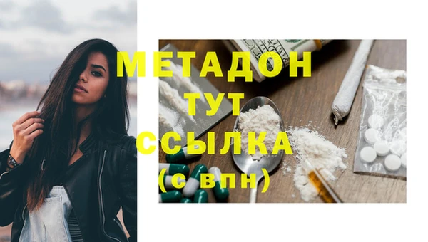 шишки Белоозёрский