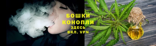 шишки Белоозёрский
