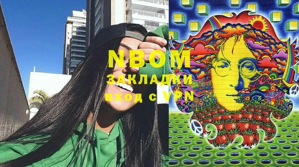 шишки Белоозёрский