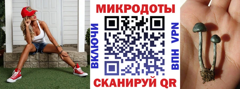 Псилоцибиновые грибы прущие грибы Светлый